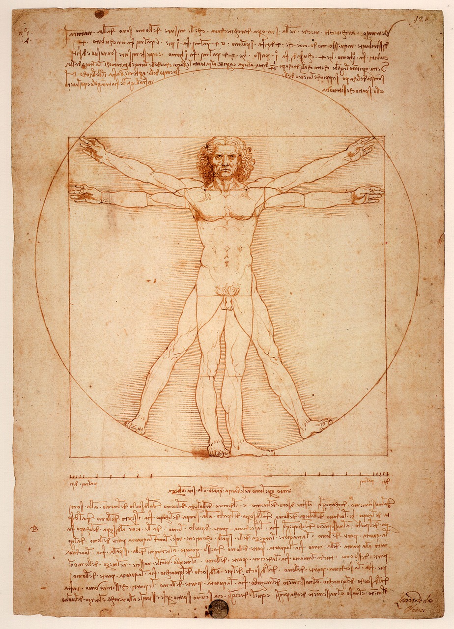 leonardo da vinci, the vitruvian man, uomo vitruviano-1125056.jpg